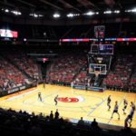 AI Image: Basketball game with donkeys