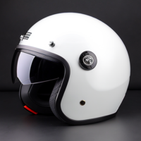 Lion Motorcylce helmet